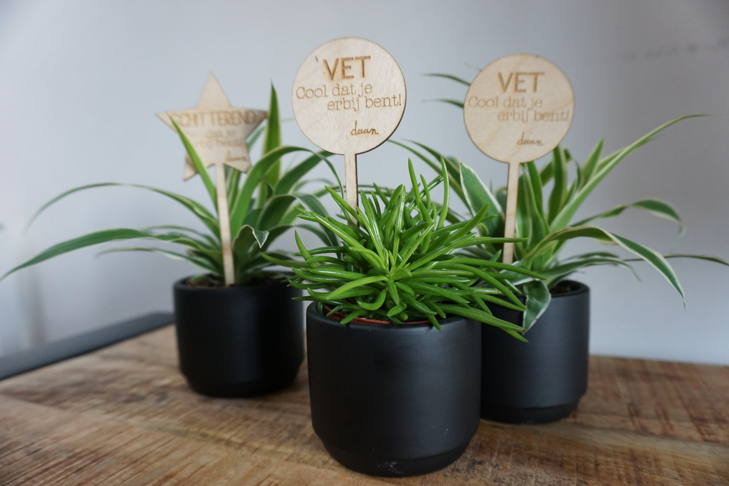 Houten plantenprikker