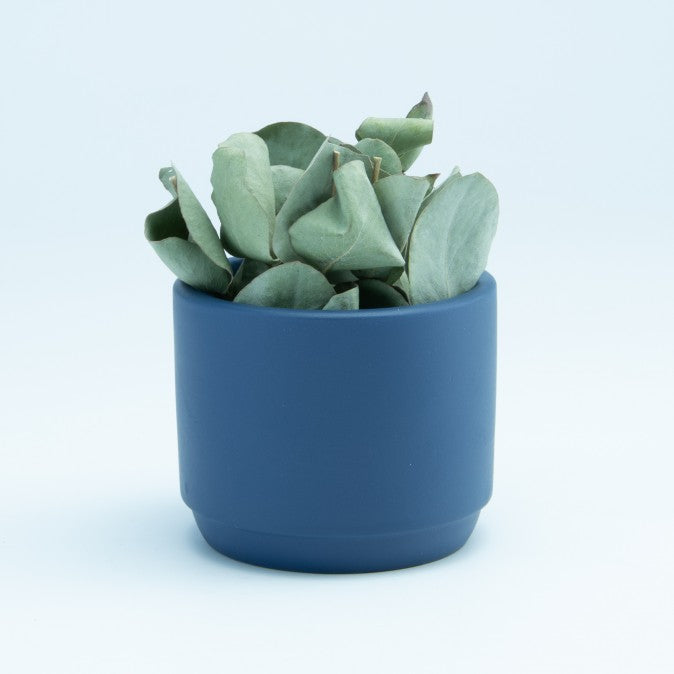 Bloempotje keramiek DIY set van 6